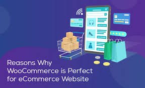 WooCommerce is Perfect for Beginners in E Commerce